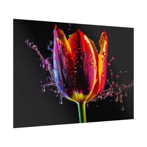 92409-627.jpg Close-up Shot Tulip Poster