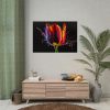 92409-628.jpg Close-up Shot Tulip Poster