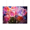 Beautiful Pink Tulips Flowers Poster