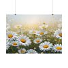 92409-671.jpg Blooming Daisy Field Poster
