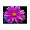 92409-681.jpg Colorful Daisy Poster
