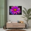 92409-683.jpg Colorful Daisy Poster