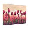 92409-692.jpg Pink Tulips Row At Sunset Poster