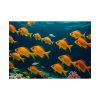 Tropical Fish Swarm Aquarium Poster