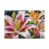 92409-750.jpg Lily Flower Blossom Art Poster