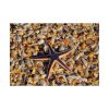 Starfish And Shells Poster