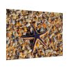 Starfish And Shells Poster