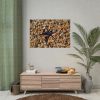 Starfish And Shells Poster