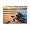 Marine Turtle Beach Sea Poster