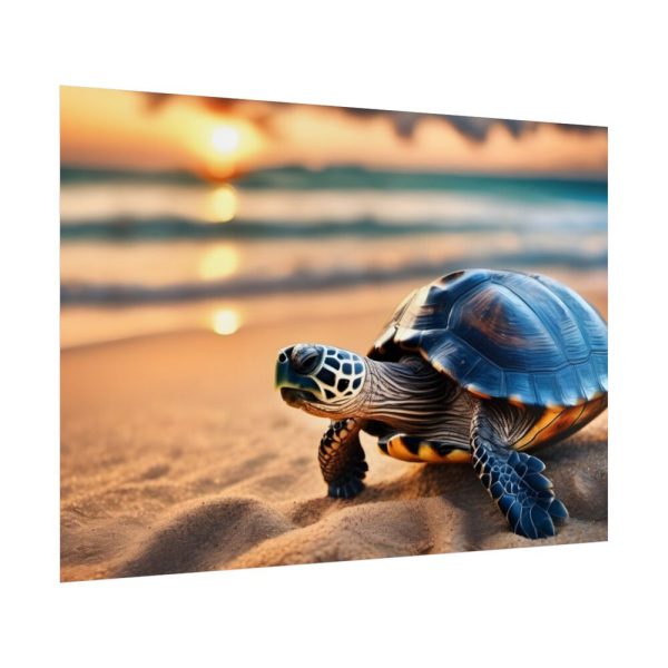 Marine Turtle Beach Sea Poster