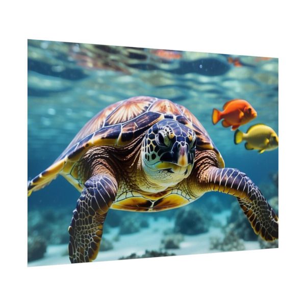 Swimming Sea Turtle Poster