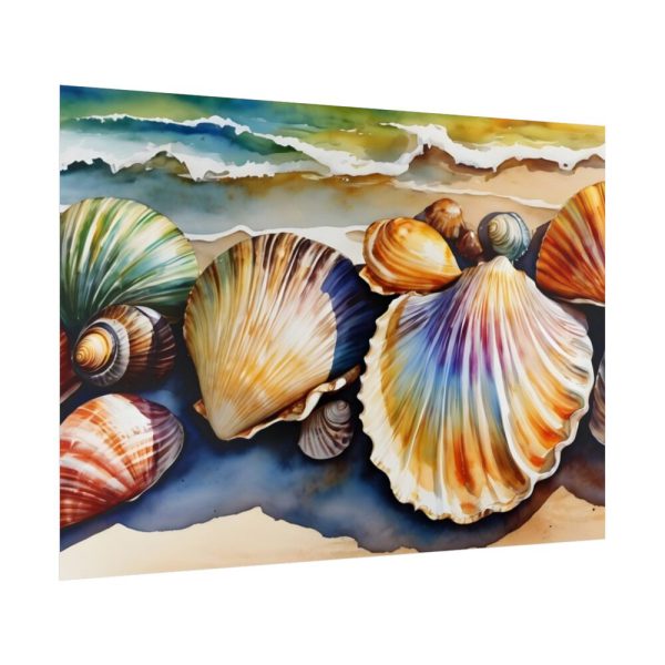 92409-792.jpg Shells Beach Sea Maritime Poster