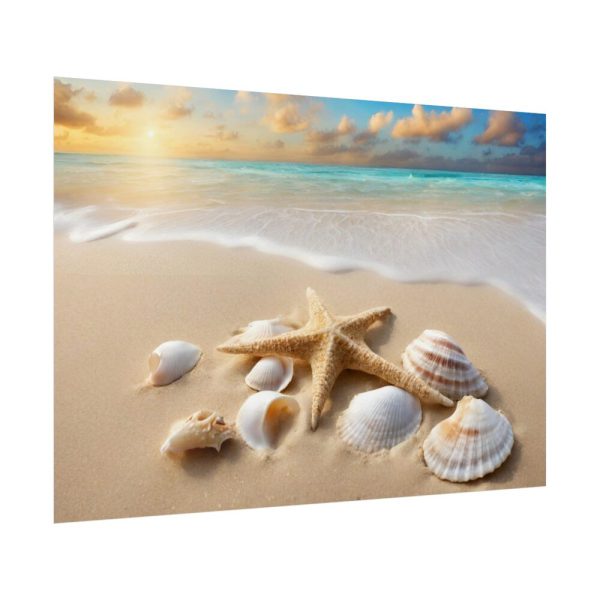 Sandy Beach With Seashells I Poster