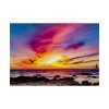 92409-95.jpg Pink Sky Sunset Poster