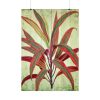 92410-126.jpg Vintage Palm Tree Plant Flower Poster