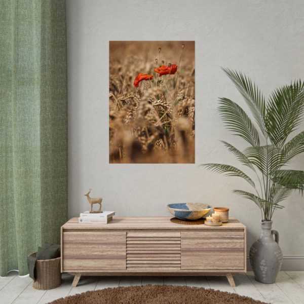 92410-153.jpg Poppy in Cornfield Poster