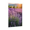 Lavender Flowers Field Poster