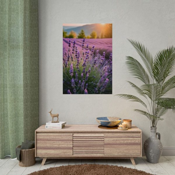 Lavender Flowers Field Poster