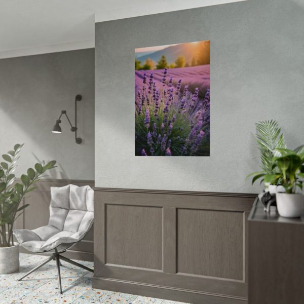 Lavender Flowers Field Poster