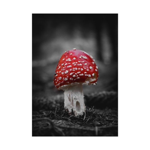 Amanita Muscaria Poster