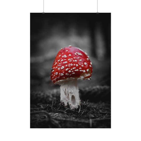 Amanita Muscaria Poster