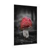 Amanita Muscaria Poster
