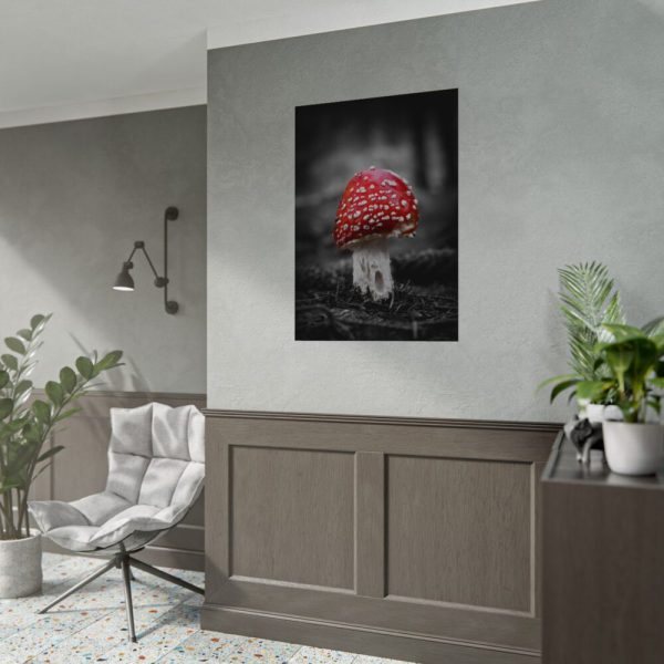 Amanita Muscaria Poster