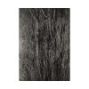 92410-35.jpg Dying Poplar and Live Branch Poster