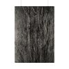 92410-36.jpg Dying Poplar and Live Branch Poster