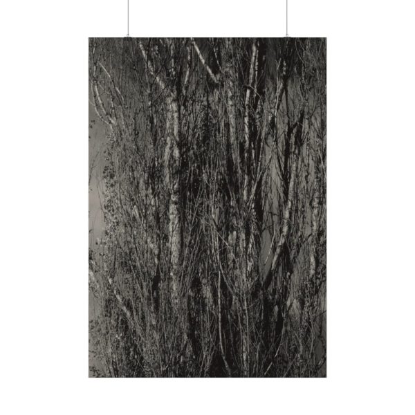 92410-36.jpg Dying Poplar and Live Branch Poster