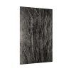 92410-37.jpg Dying Poplar and Live Branch Poster