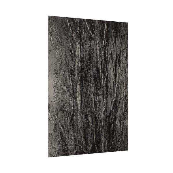 92410-37.jpg Dying Poplar and Live Branch Poster