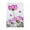 92410-41.jpg Pink Cosmos I Poster