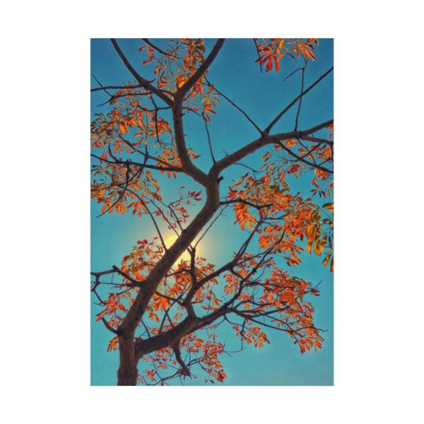 92410-60.jpg Autumn Sky Poster