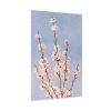 92410-67.jpg Plum Branches with blossoms Poster