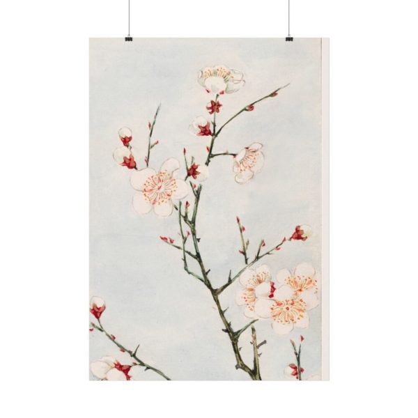 92410-71.jpg Peach Blossoms Poster