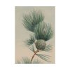 92411-120.jpg Wild Plant Poster