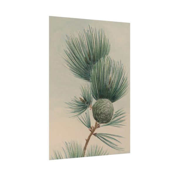 92411-122.jpg Wild Plant Poster
