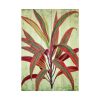 92411-125.jpg Vintage Palm Tree Plant Flower Poster