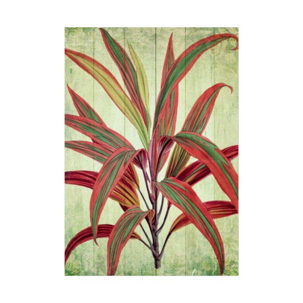 92411-125.jpg Vintage Palm Tree Plant Flower Poster