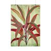 92411-126.jpg Vintage Palm Tree Plant Flower Poster