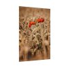 92411-152.jpg Poppy in Cornfield Poster