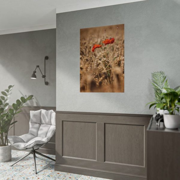 92411-154.jpg Poppy in Cornfield Poster