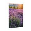 Lavender Flowers Field Poster