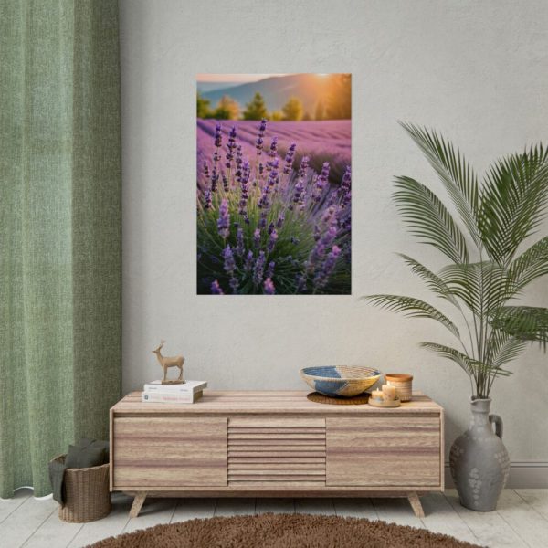 Lavender Flowers Field Poster
