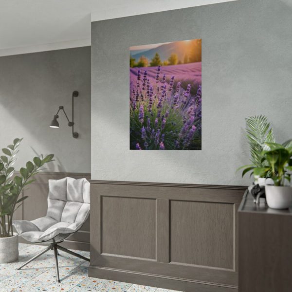 Lavender Flowers Field Poster