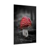 Amanita Muscaria Poster