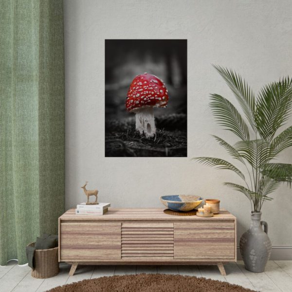 Amanita Muscaria Poster