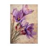 92411-185.jpg Saffron Flower Grunge Poster