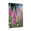 92411-207.jpg Foxglove Wildflowers Poster